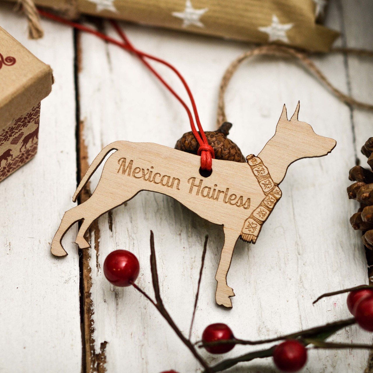 Personalised Mexican Hairless Decoration