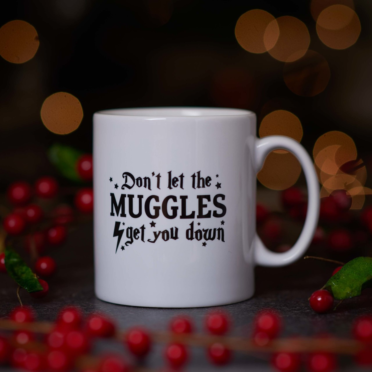 Don’t let the muggles get you down mug.